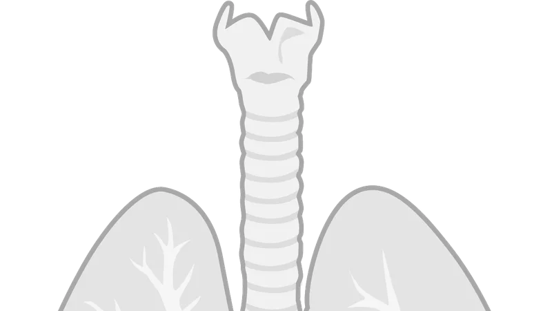 ACE inhibitors vs ARBs: cough, angioedema and pregnancy differences 2026