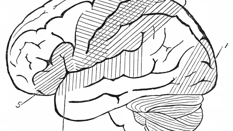 Anticholinergic burden in older adults: confusion, retention and falls 2026