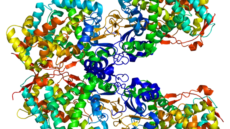 CYP450 inducers and inhibitors, explained by mechanism