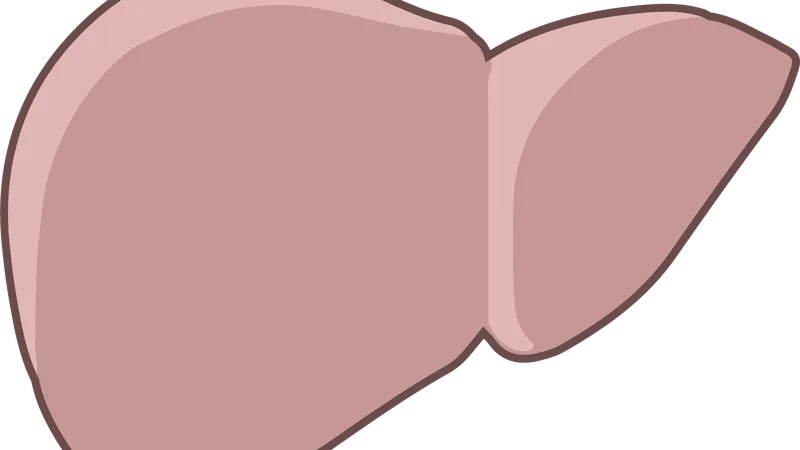 Morphine vs codeine: why CYP2D6 decides which works