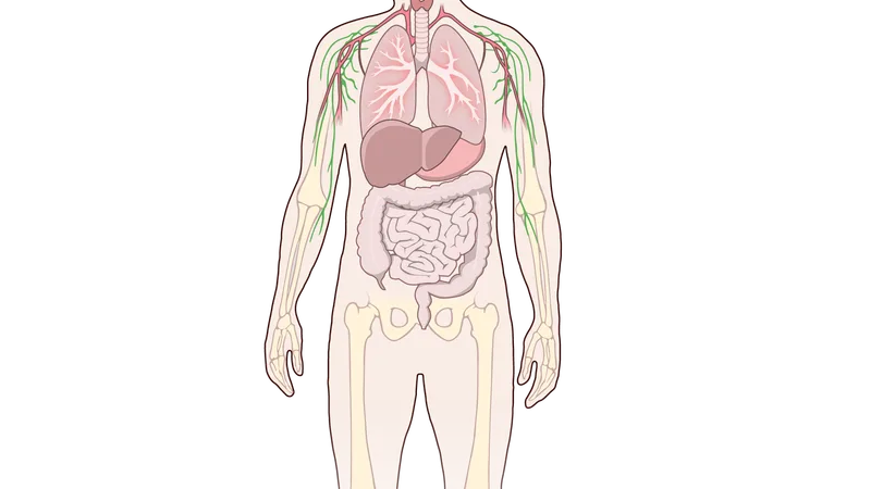 Opioid-induced constipation: mechanism and peripherally acting antagonists 2026